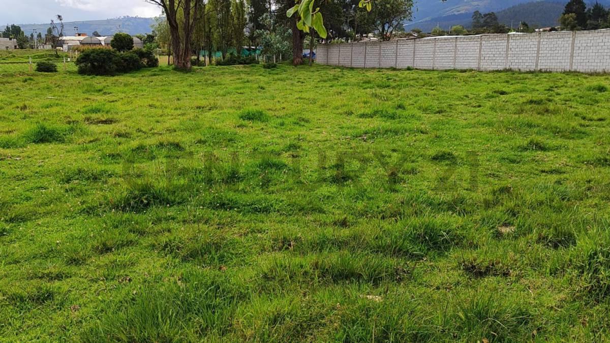 Dos Lotes de Terreno en Venta Parroquia Ascazubi - Cayambe — imagen 3