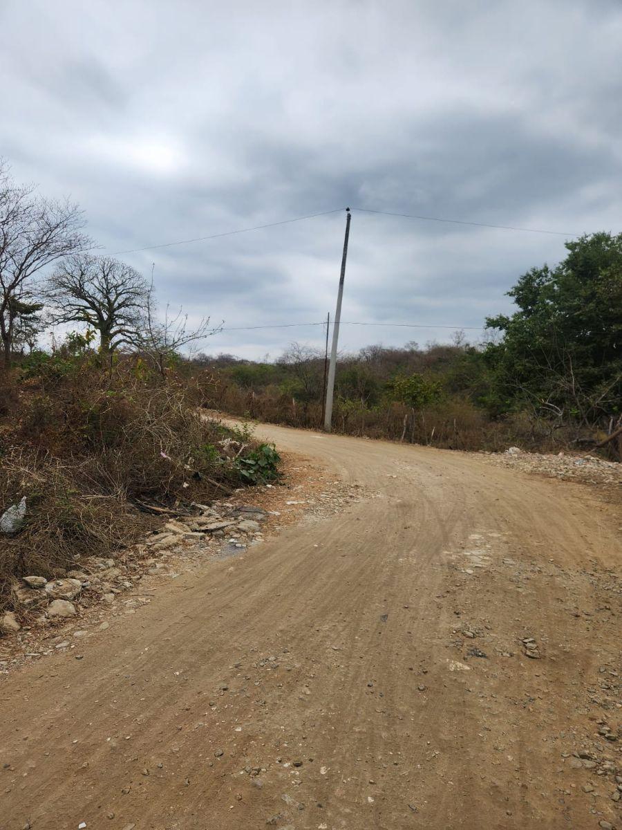 Venta 4 Has Km 23 Via a La Costa, Guayas — imagen 9
