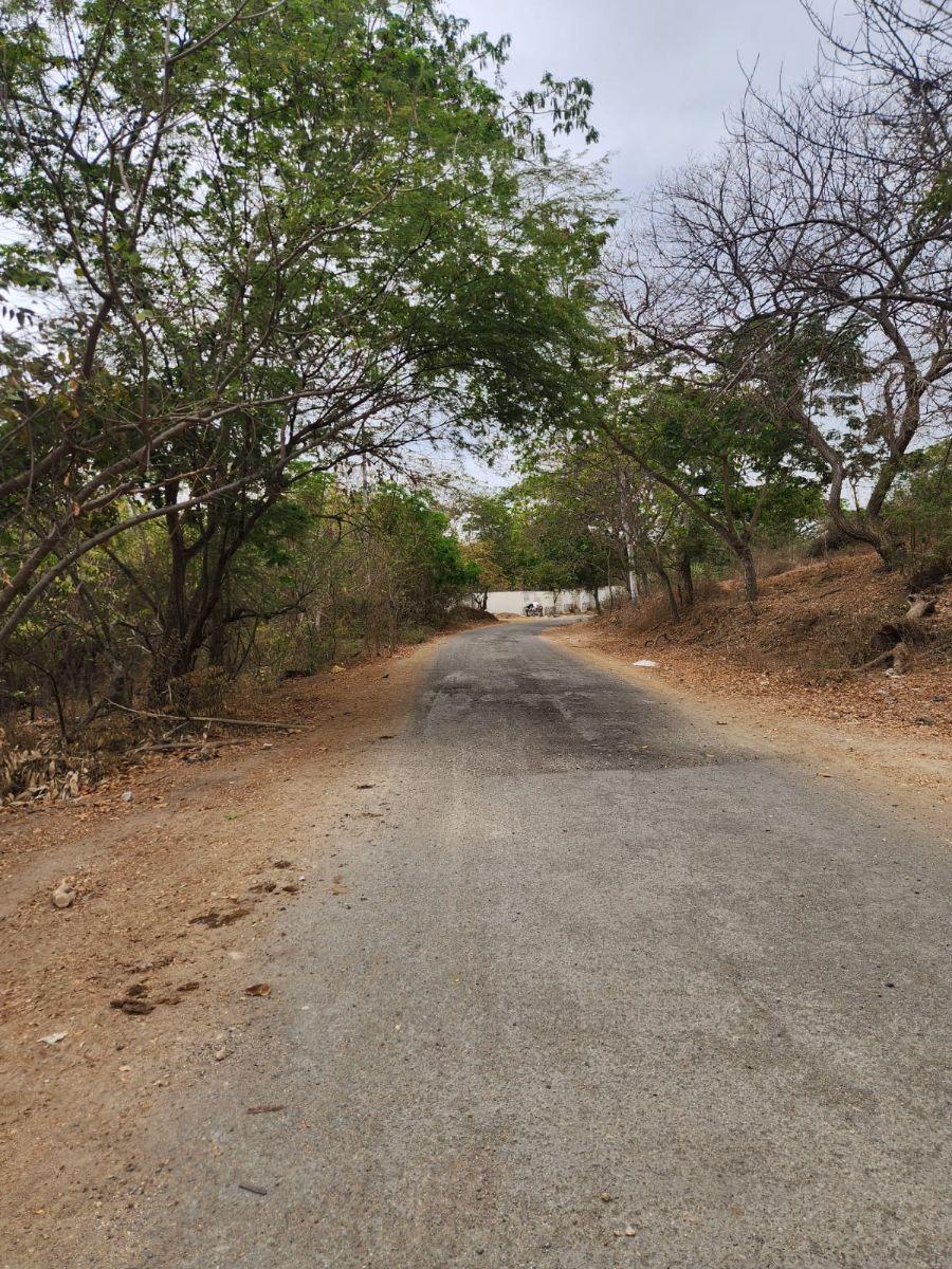 Venta 4 Has Km 23 Via a La Costa, Guayas — imagen 8