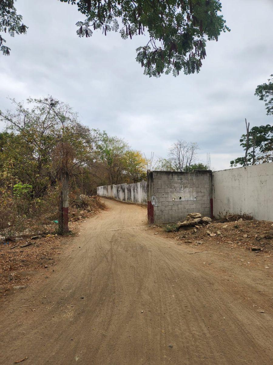 Venta 4 Has Km 23 Via a La Costa, Guayas — imagen 7