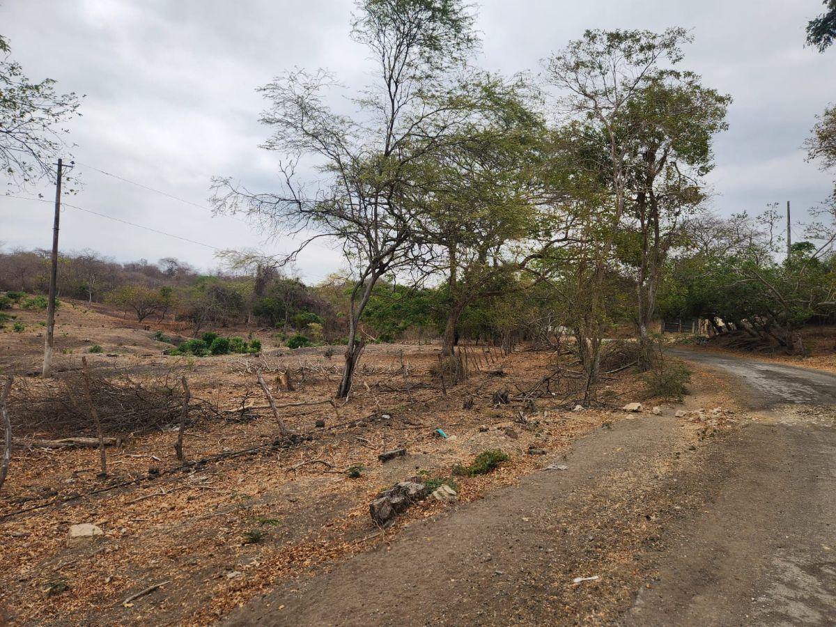 Venta 4 Has Km 23 Via a La Costa, Guayas — imagen 6