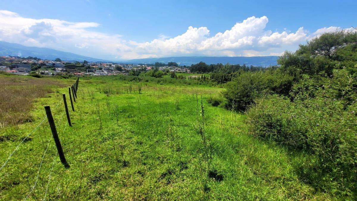 Terreno en Venta Betania Cerca Al San Luis Shopping — imagen 4