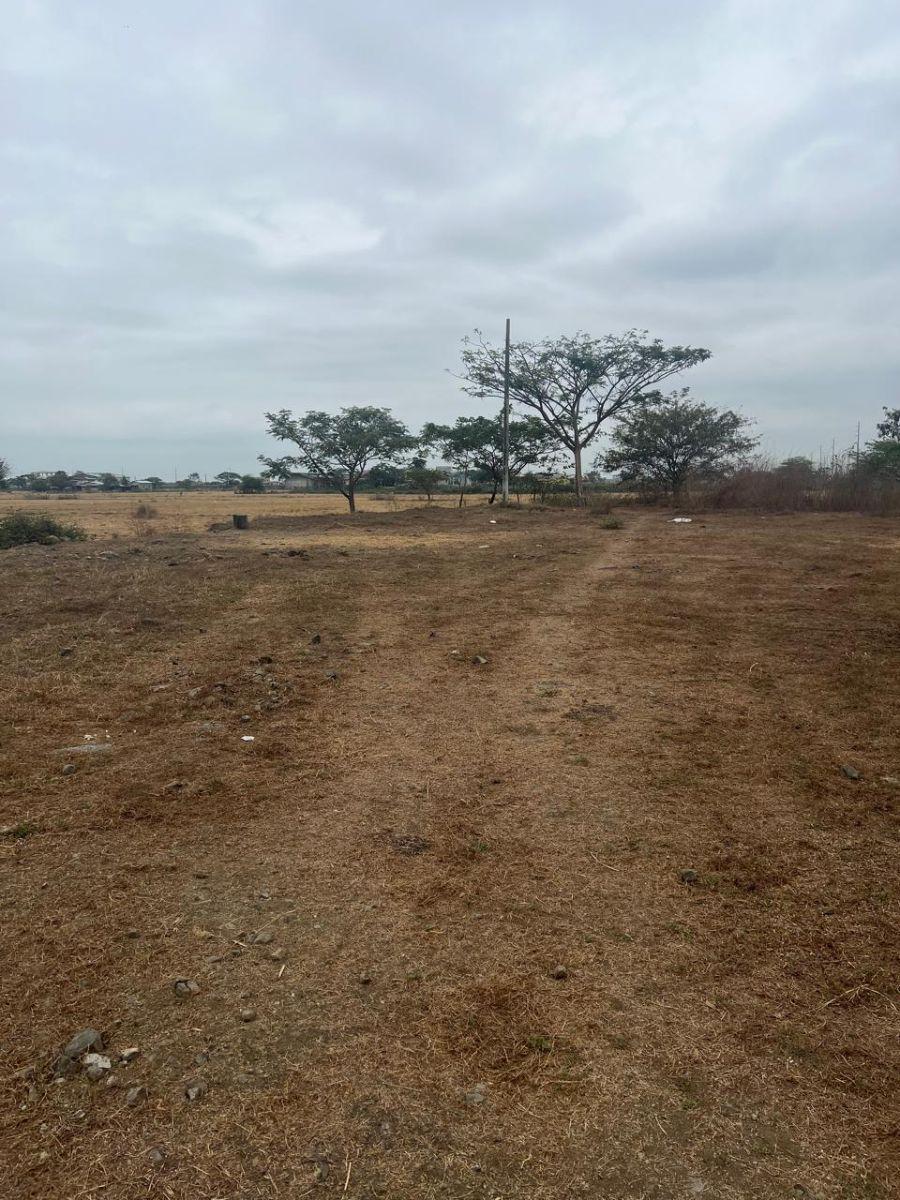Terreno de 43306 m² en Venta Via Salitre Al Carretero, Guayas — imagen 10