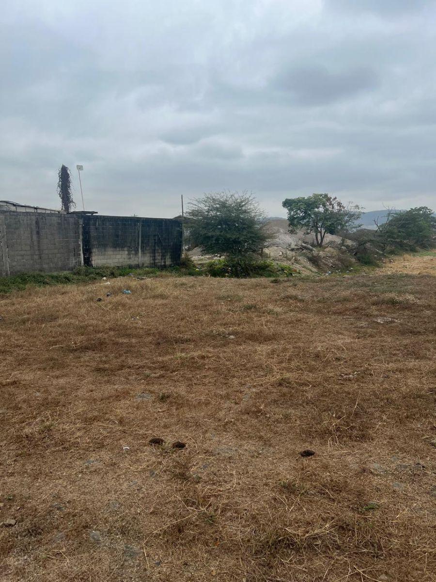Terreno de 43306 m² en Venta Via Salitre Al Carretero, Guayas — imagen 9