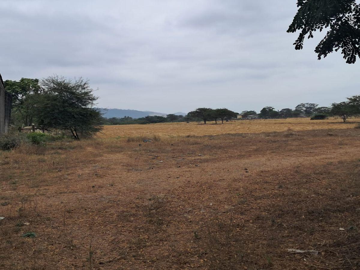Terreno de 43306 m² en Venta Via Salitre Al Carretero, Guayas — imagen 8