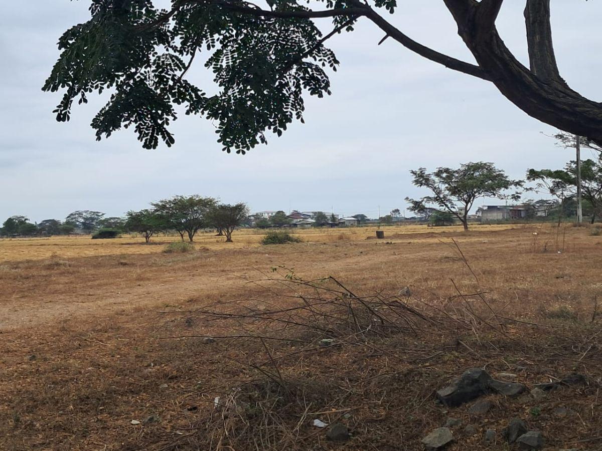 Terreno de 43306 m² en Venta Via Salitre Al Carretero, Guayas — imagen 7