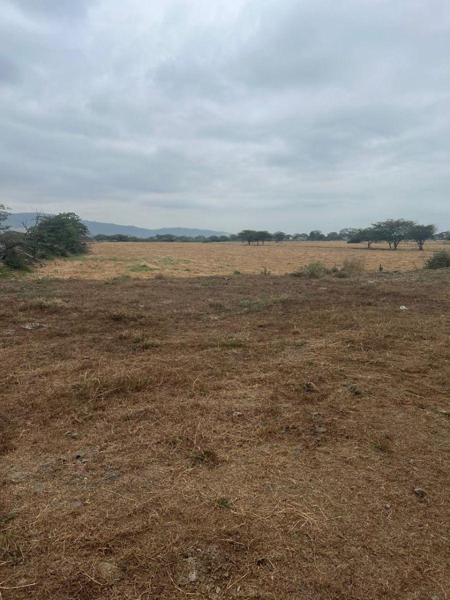 Terreno de 43306 m² en Venta Via Salitre Al Carretero, Guayas — imagen 5