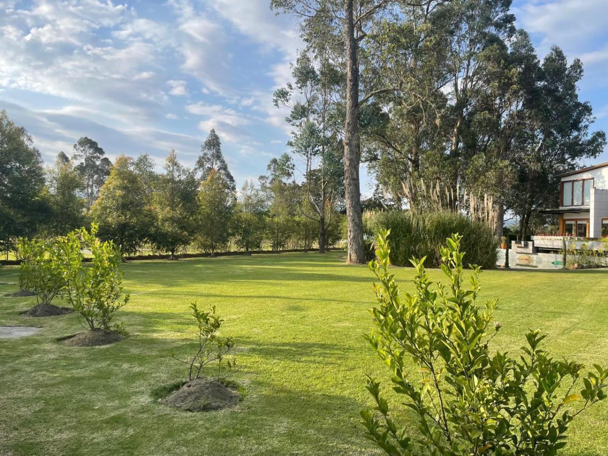 Venta Casa en Tumbaco Sector Colegio Cervantes — imagen 6