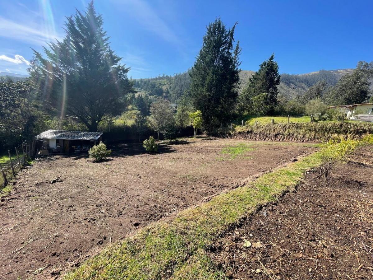 Vento Terreno 500 m² en El Ilalo — imagen 7