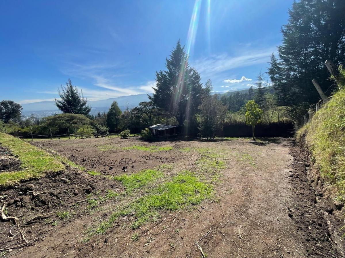 Vento Terreno 500 m² en El Ilalo — imagen 6