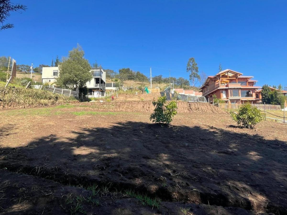 Vento Terreno 500 m² en El Ilalo — imagen 5