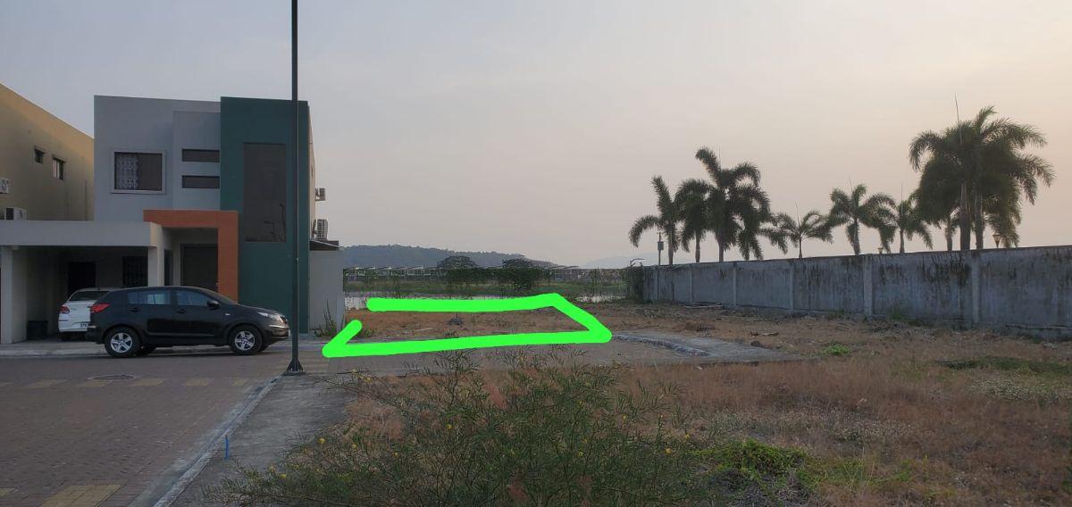 Vta Terreno Alta Rentabilidad, Al Pie del Río Urb. Bali–av. León Febres Corder (Gim), Guayas — imagen 6