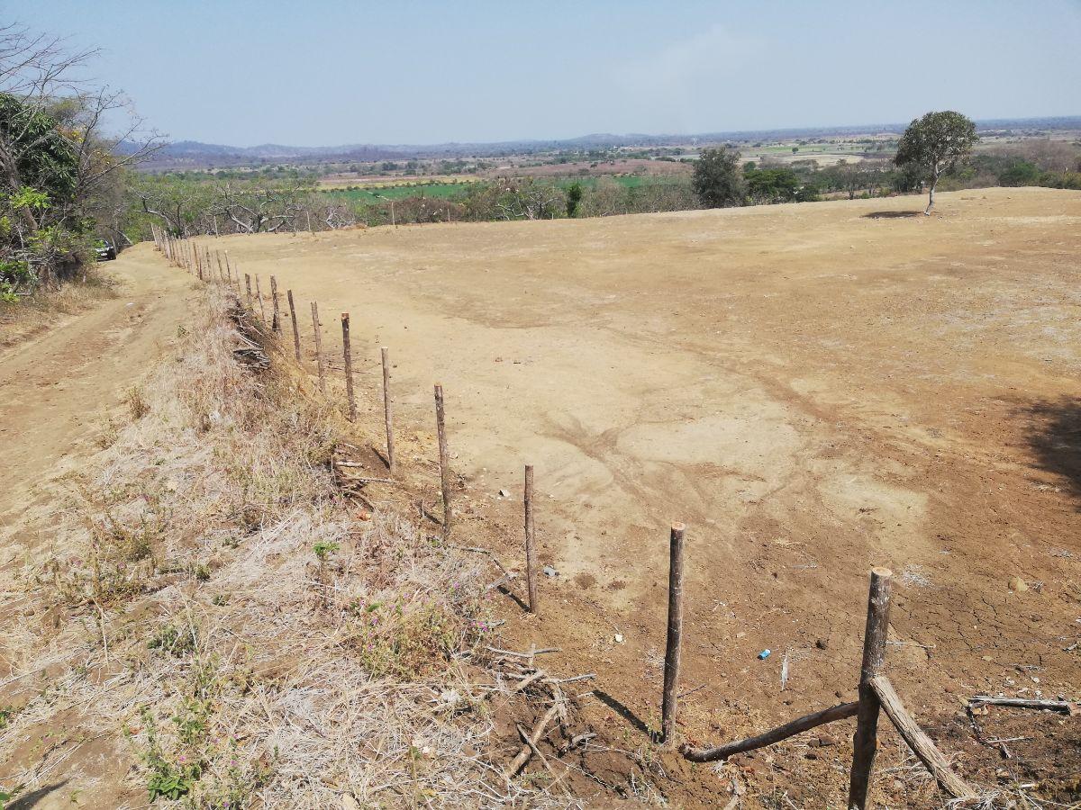 Venta de Terreno Industrial 8283 m² en Petrillo, Alto Impacto y Energía Trifásica, Guayas — imagen 7