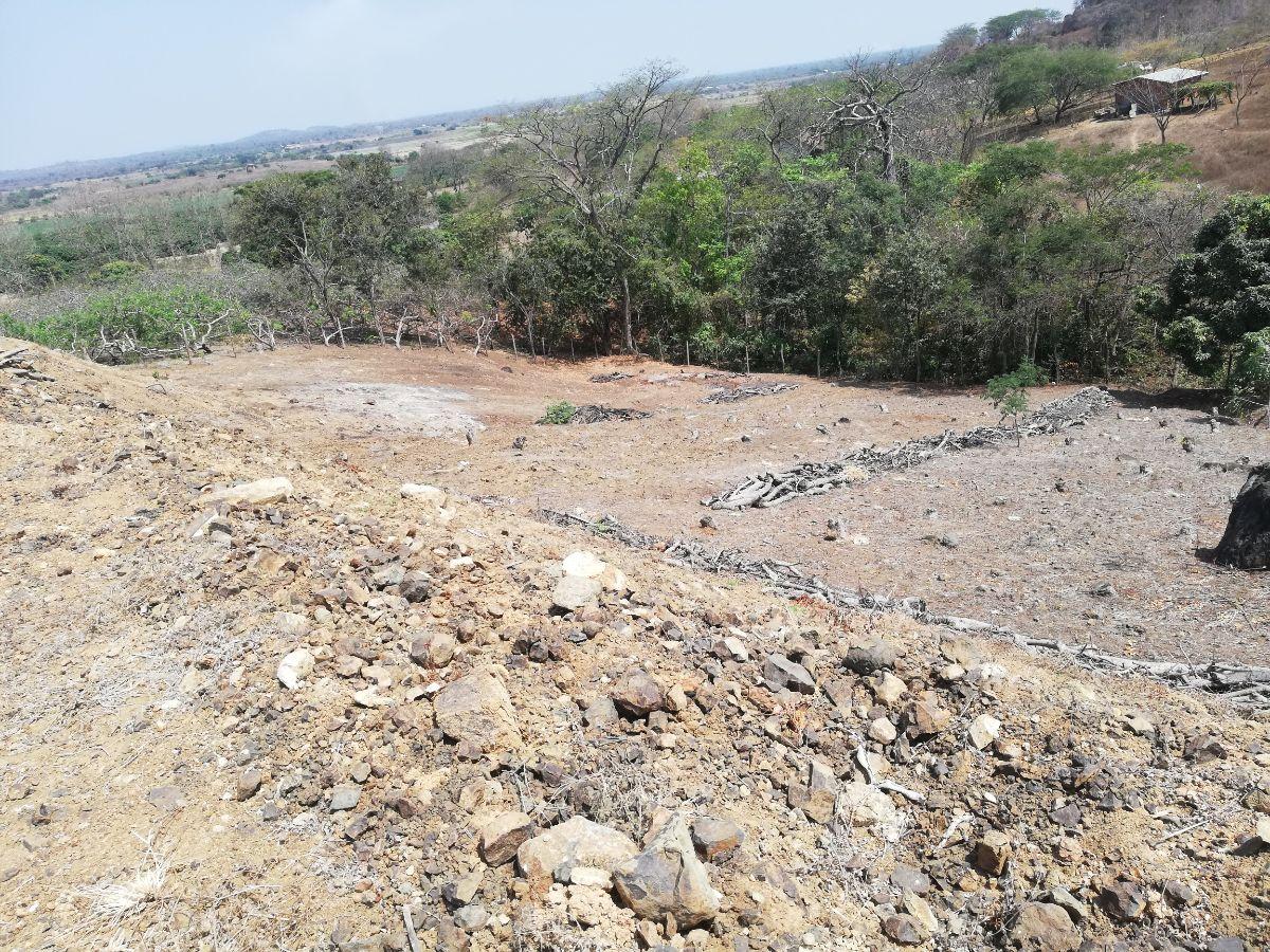 Venta de Terreno Industrial 8283 m² en Petrillo, Alto Impacto y Energía Trifásica, Guayas — imagen 5