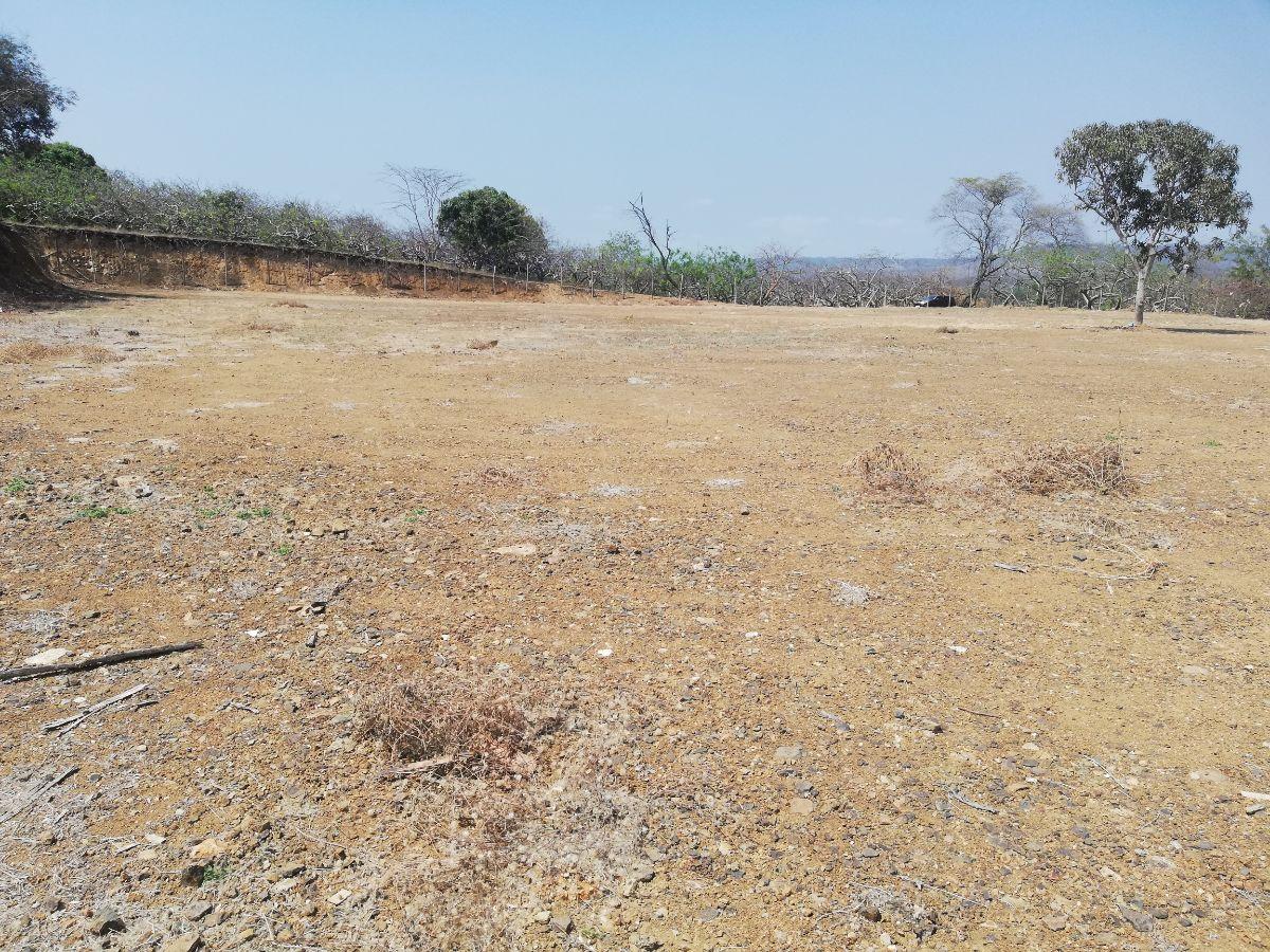 Venta de Terreno Industrial 8283 m² en Petrillo, Alto Impacto y Energía Trifásica, Guayas — imagen 4