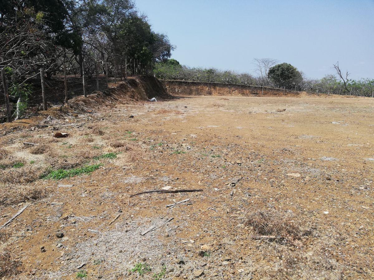 Venta de Terreno Industrial 8283 m² en Petrillo, Alto Impacto y Energía Trifásica, Guayas — imagen 3