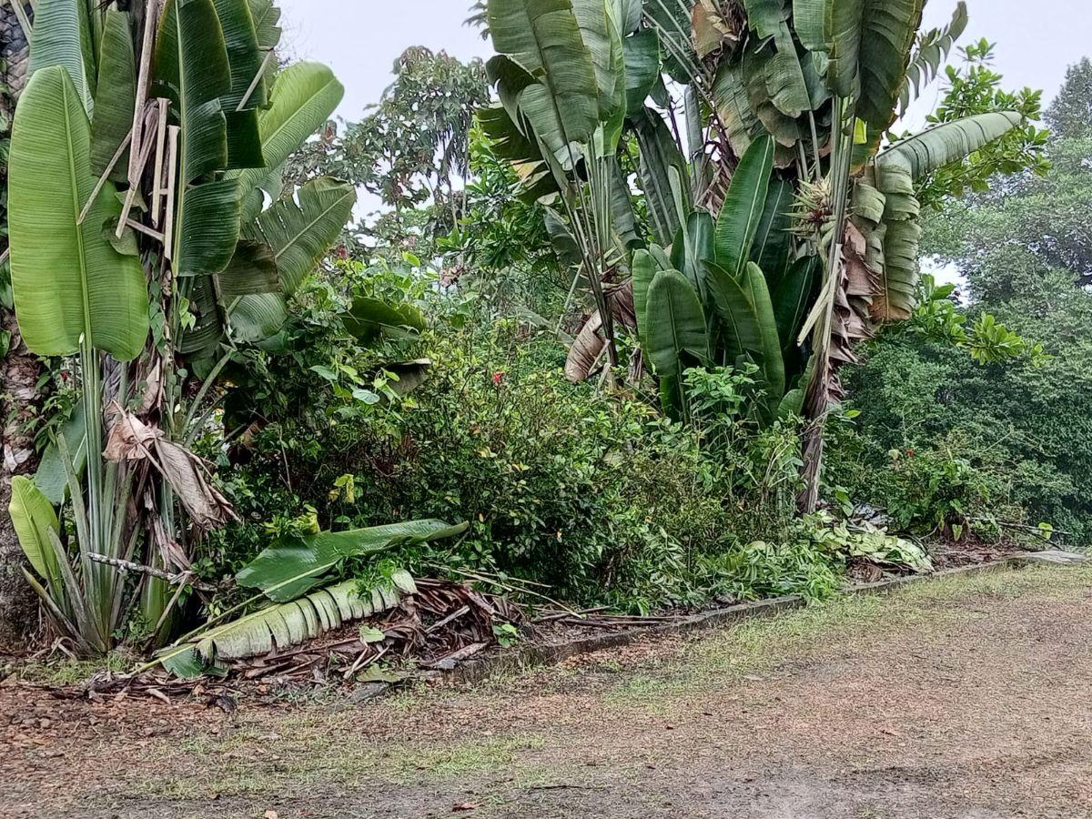 Vendo Dos Lotes Juntos Urb. Sinlanche Pedro V. Maldonado — imagen 9