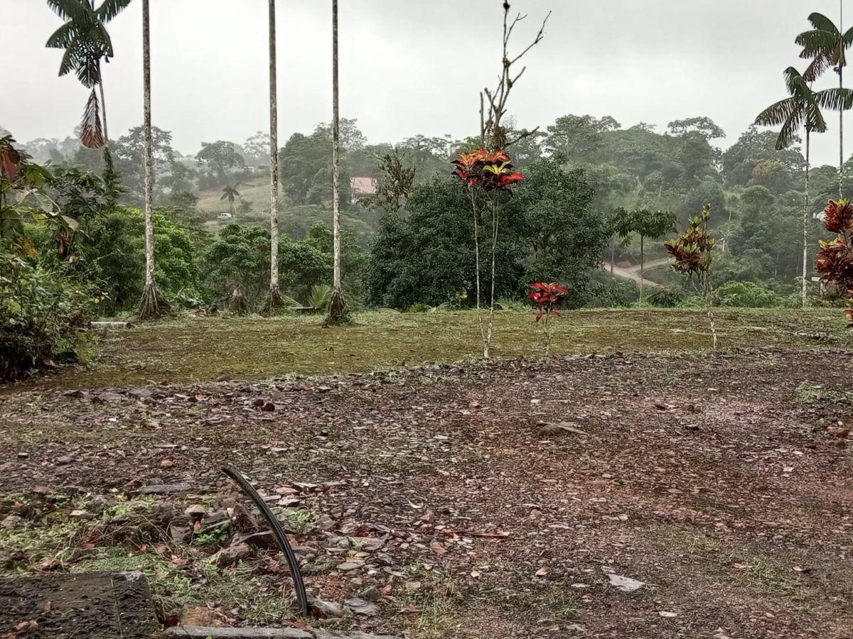 Vendo Dos Lotes Juntos Urb. Sinlanche Pedro V. Maldonado — imagen 8