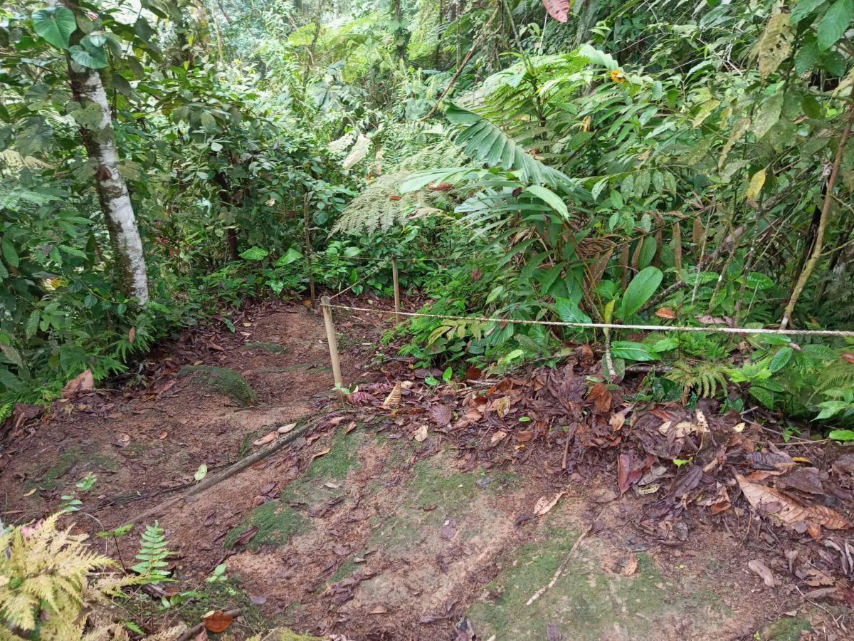 Vendo Dos Lotes Juntos Urb. Sinlanche Pedro V. Maldonado — imagen 5