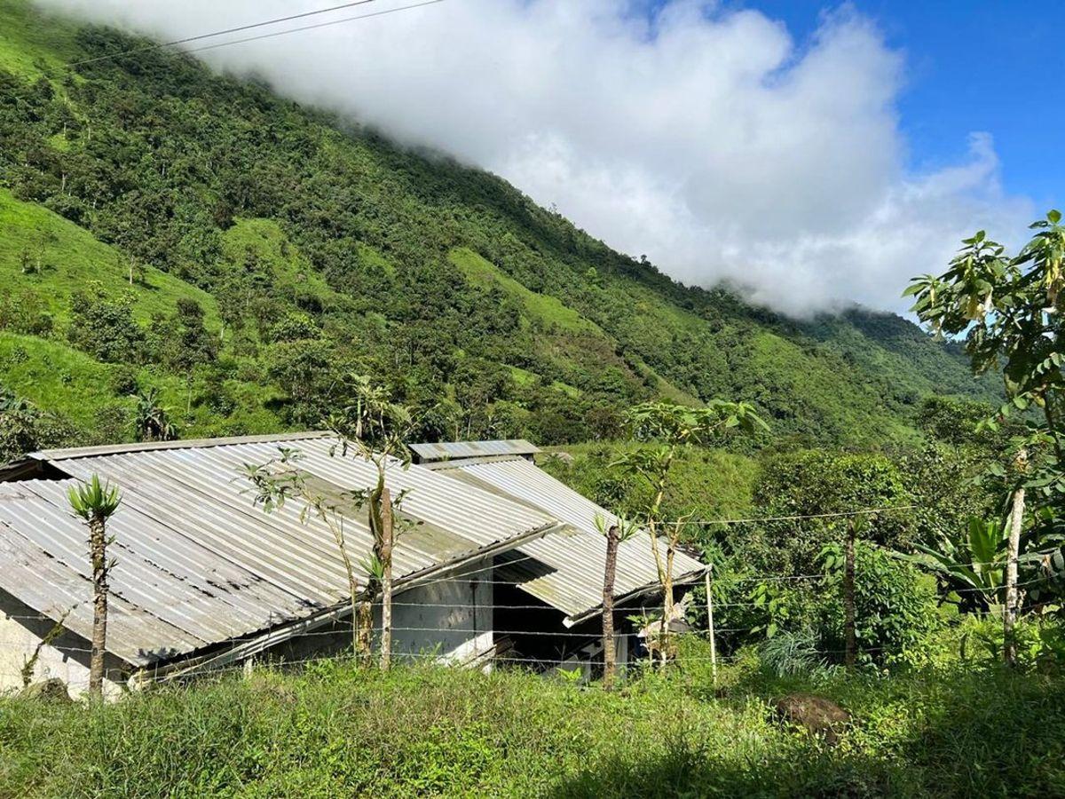 Venta de Finca en Chilla, El Oro — imagen 6