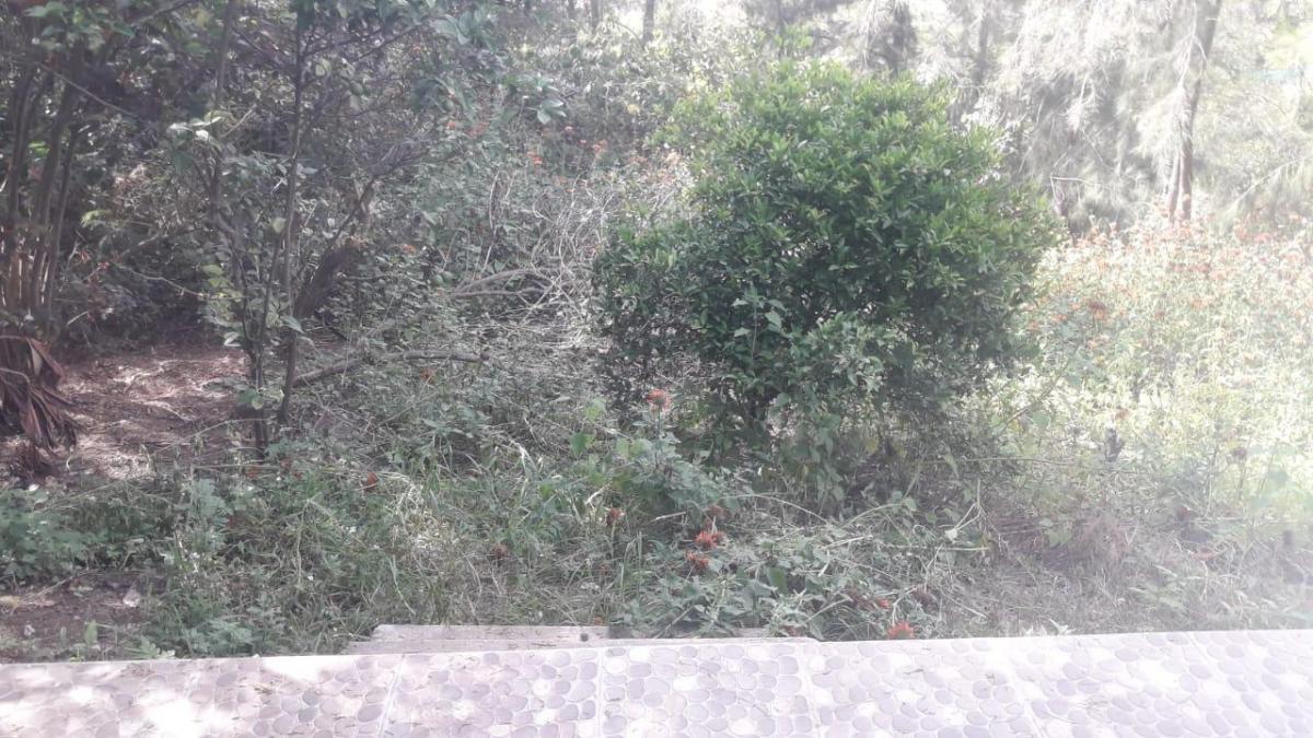 Casa Mixta de Venta en Oyacoto / Calderon y Terreno 1000 m² — imagen 5