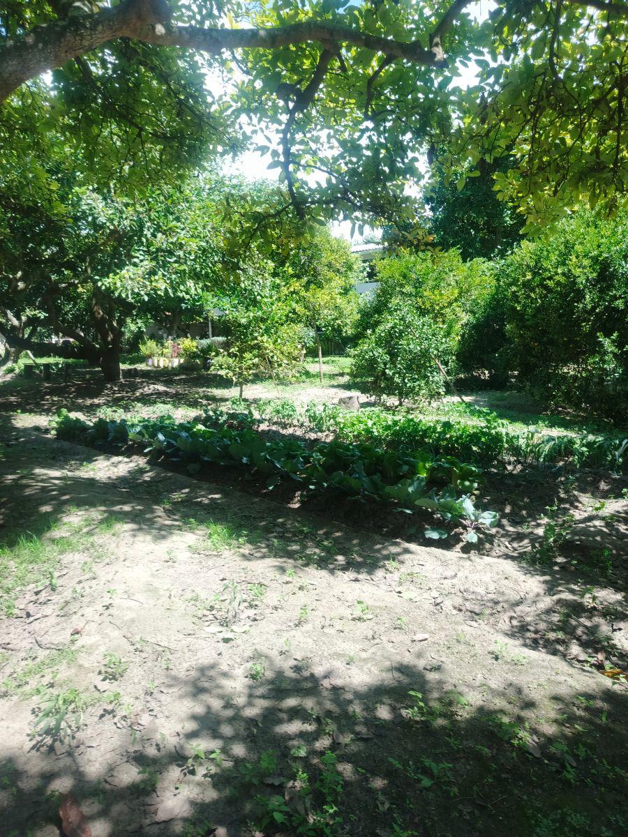 Vendo Linda Propiedad con Árboles Frutales y 3 Casas en Guayllabamba Urb Doña Ana — imagen 10