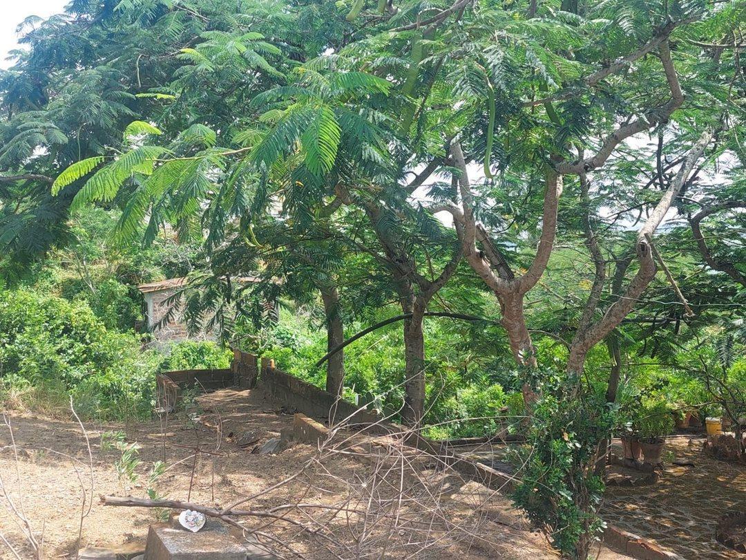 Casa con Terreno de Venta Montecristi Zona Norte R/b, Manabí — imagen 6