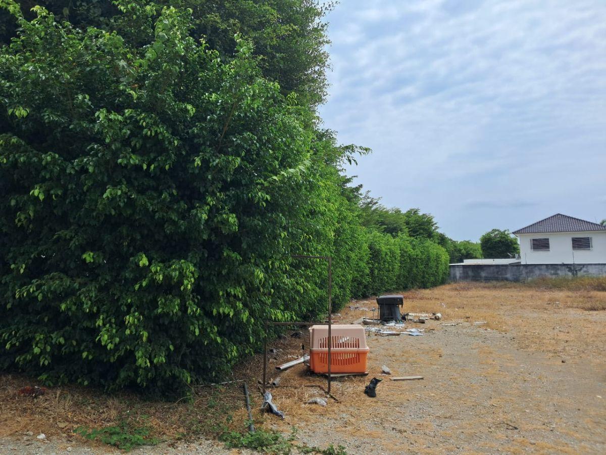 Via a La Costa Km 15 Terreno en Venta, Guayas — imagen 3