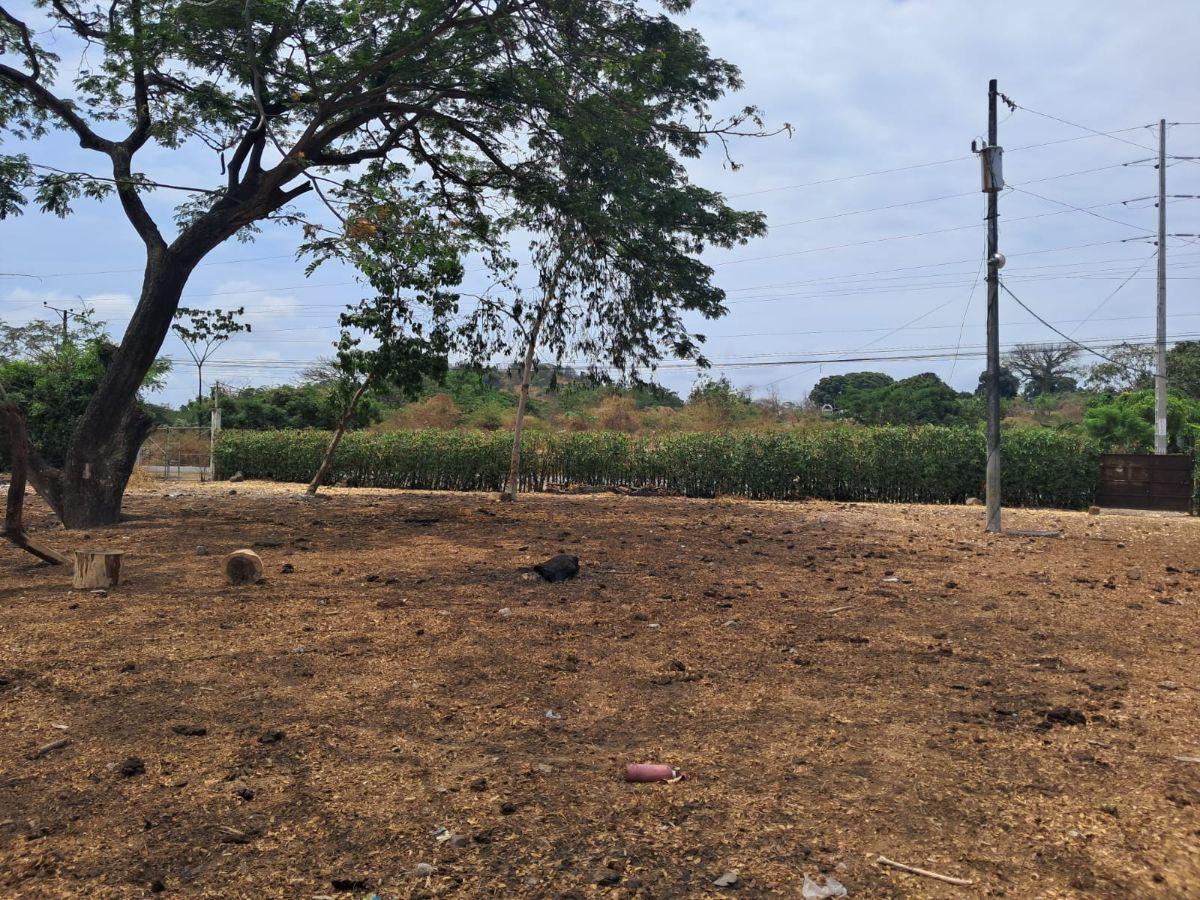 Km 22 Via a La Costa Sentido Guayaquil Salinas, Guayas — imagen 7