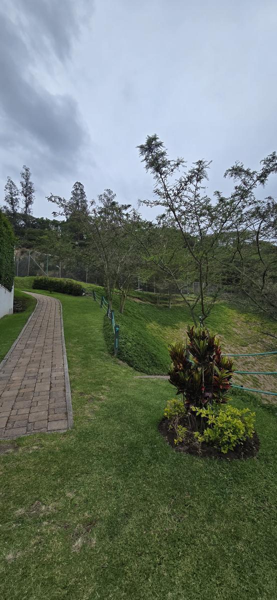 Casa en Venta en Nayon Conjunto Parque Algarrobos — imagen 5