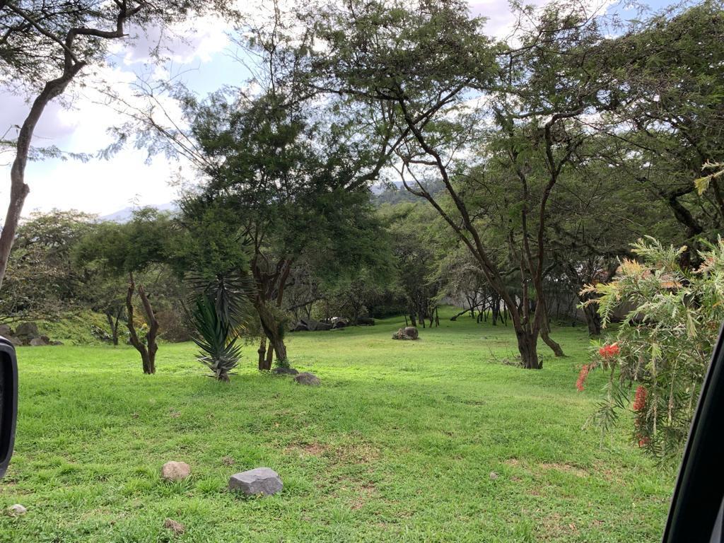 Terreno en Venta en Urb. La Viña Tumbaco — imagen 10