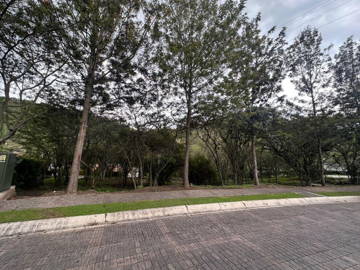 Terreno en Venta en Urb. La Viña Tumbaco — imagen 8