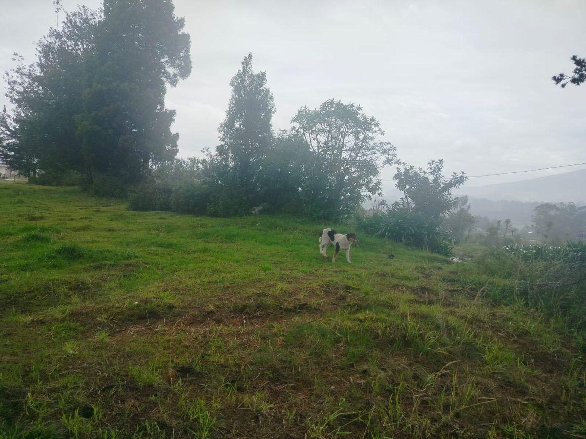 Terreno en Venta, Aloag, El Corazón Vía Aloasí — imagen 9