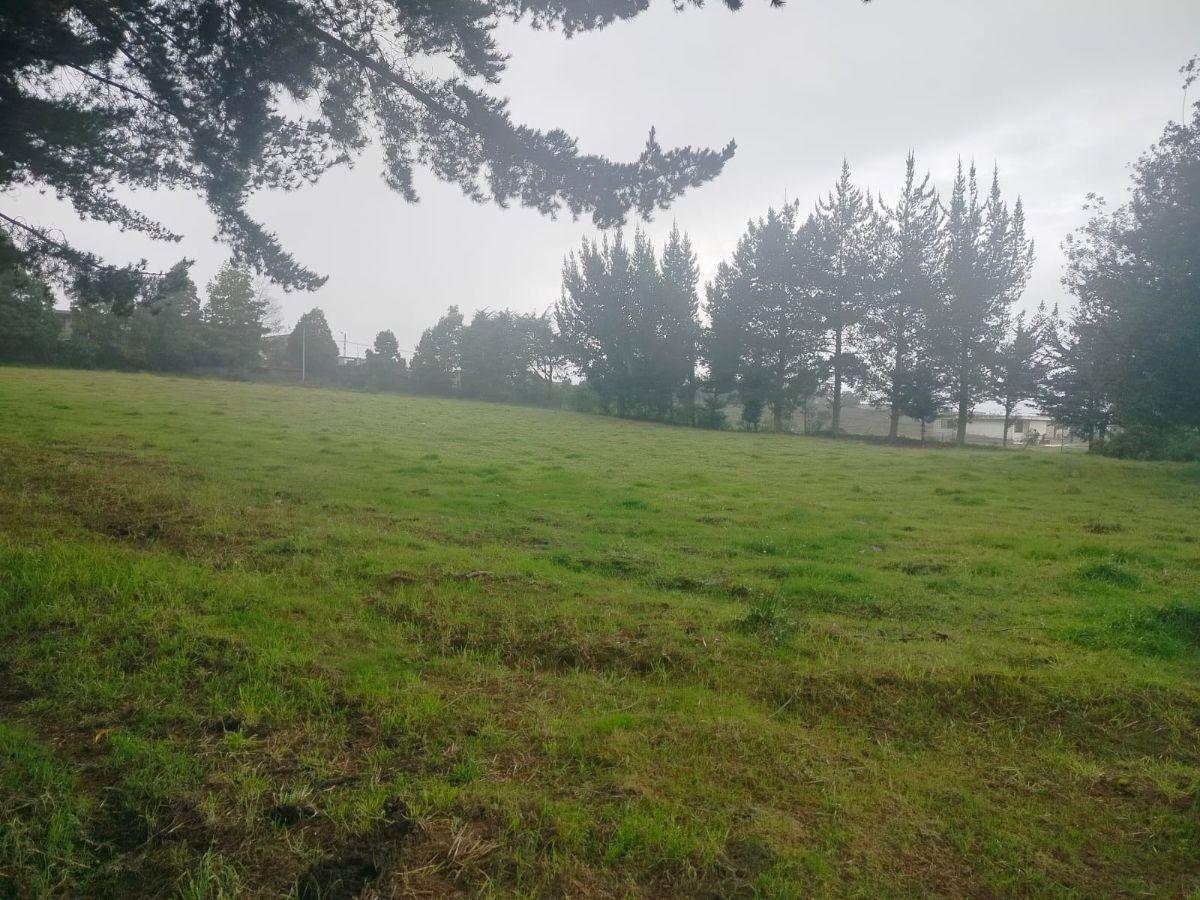 Terreno en Venta, Aloag, El Corazón Vía Aloasí — imagen 8