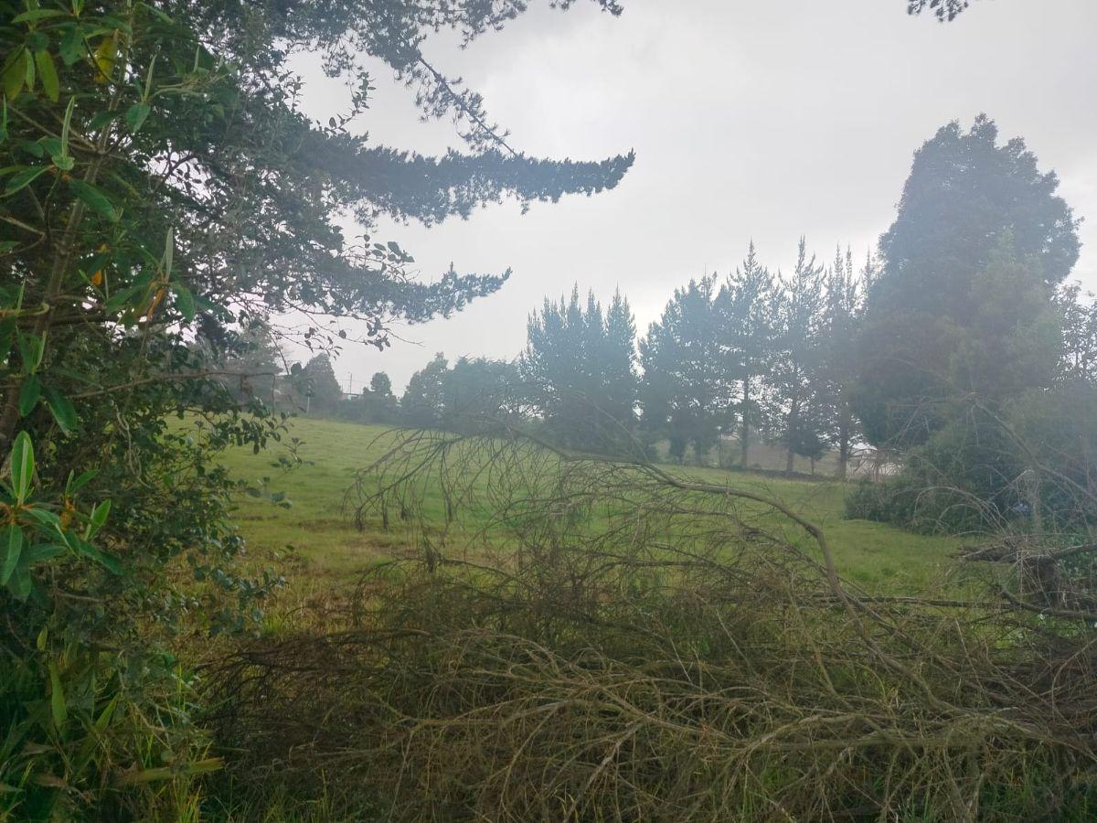 Terreno en Venta, Aloag, El Corazón Vía Aloasí — imagen 7