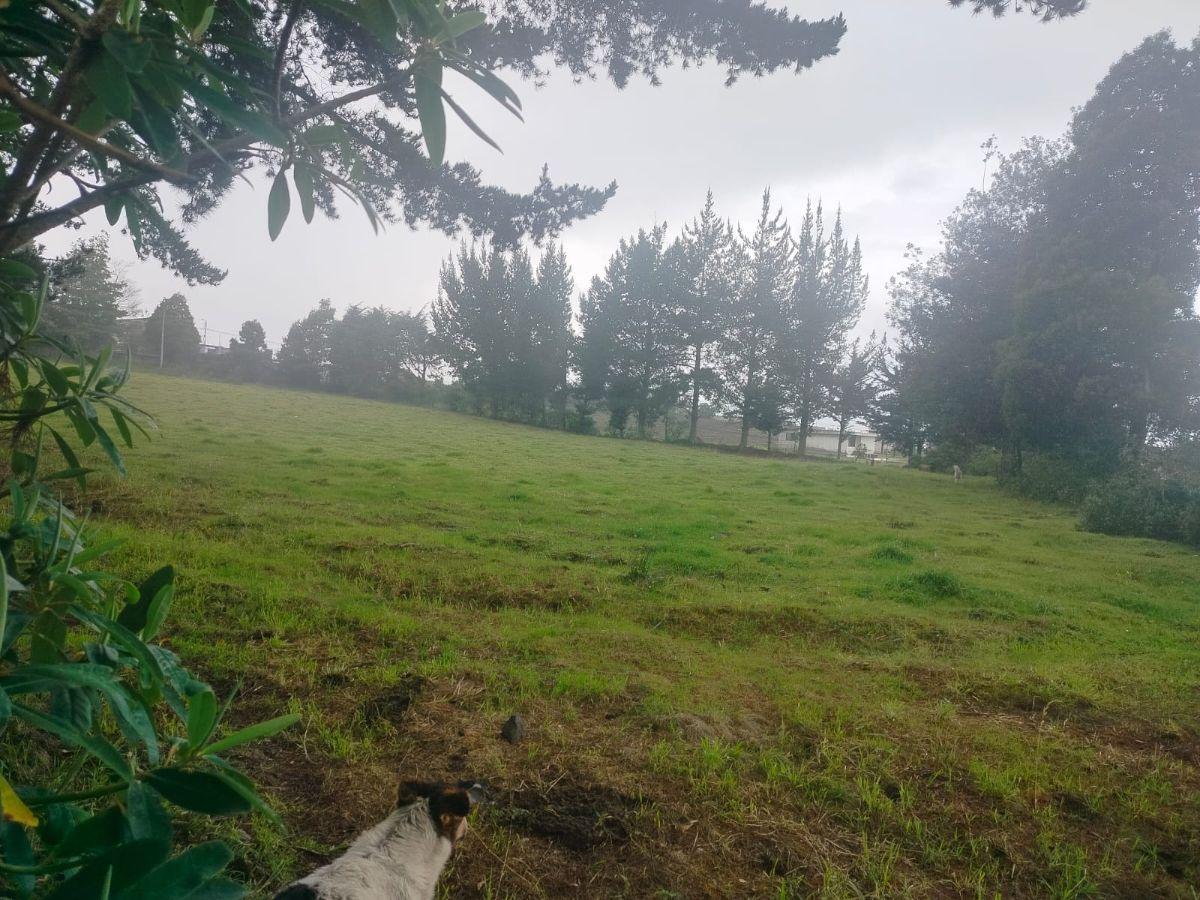 Terreno en Venta, Aloag, El Corazón Vía Aloasí — imagen 6