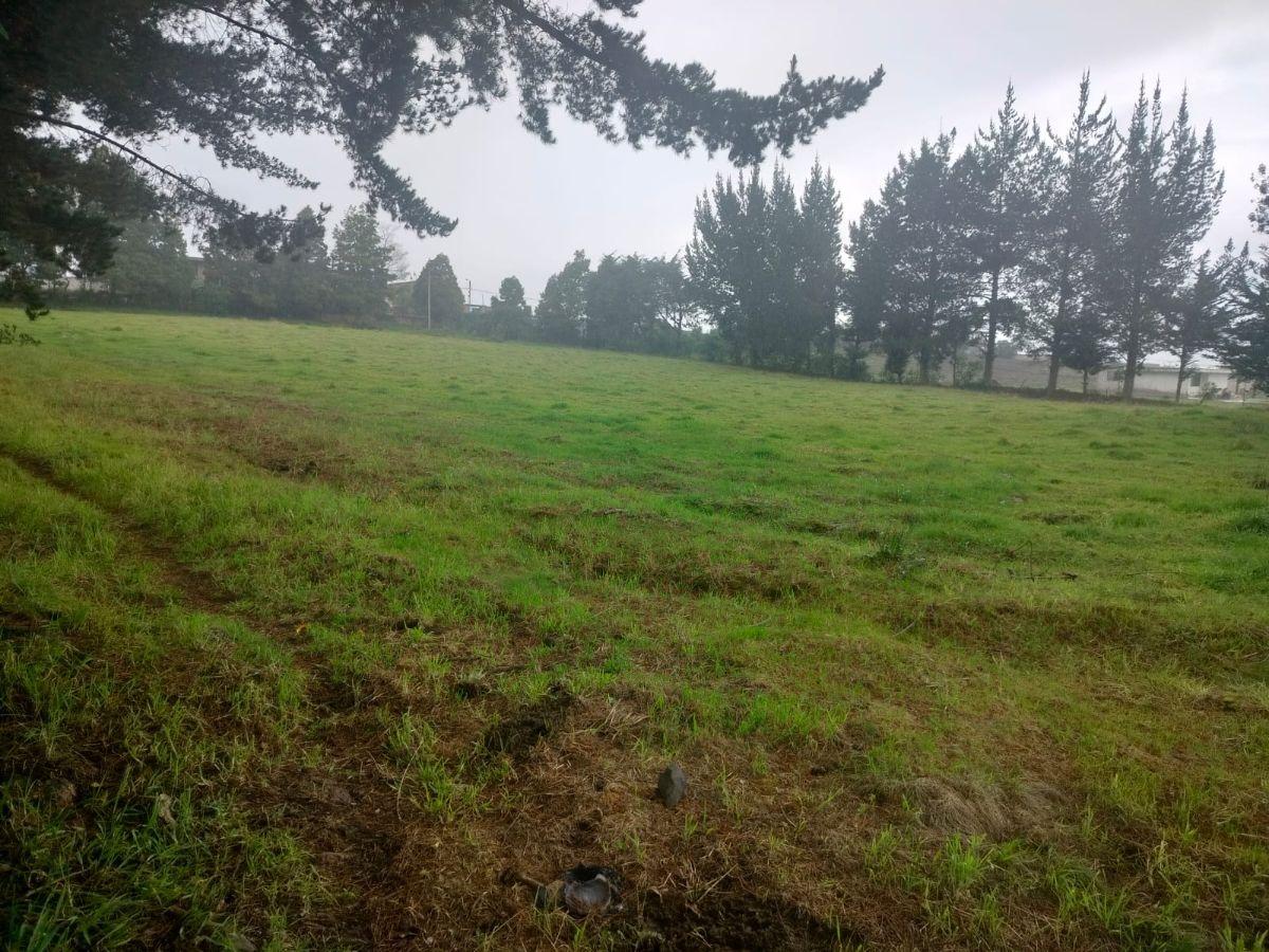 Terreno en Venta, Aloag, El Corazón Vía Aloasí — imagen 4