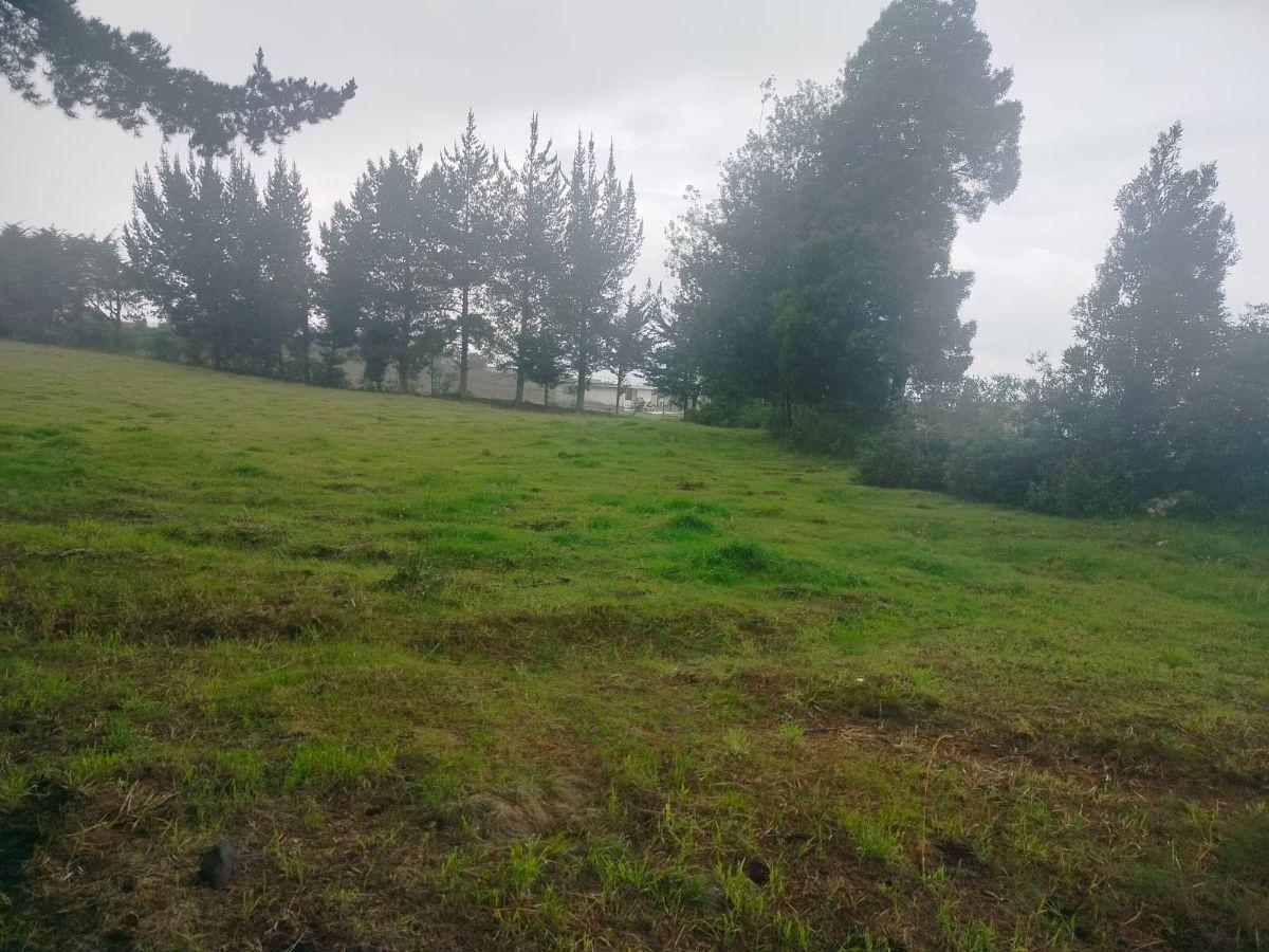 Terreno en Venta, Aloag, El Corazón Vía Aloasí — imagen 3