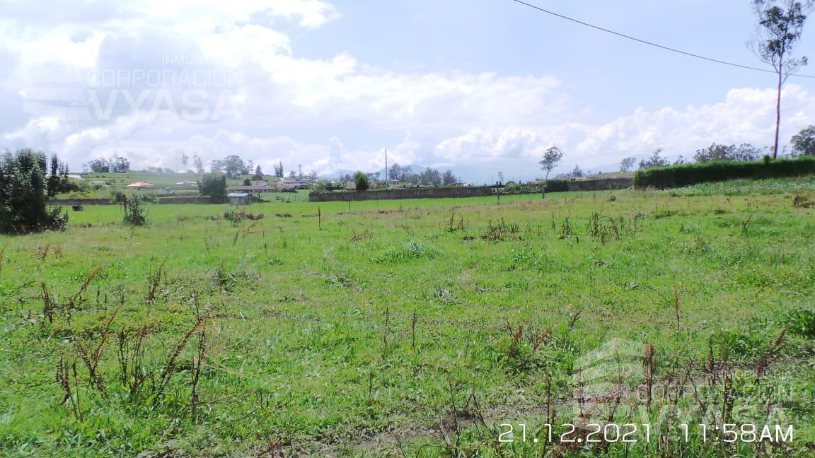 Pillaro - Tungurahua, Linda Casa de Venta 312 m² y Gran Terreno 834 m², Tungurahua — imagen 8