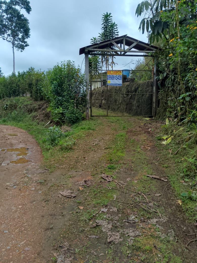 Terreno en Venta — imagen 10