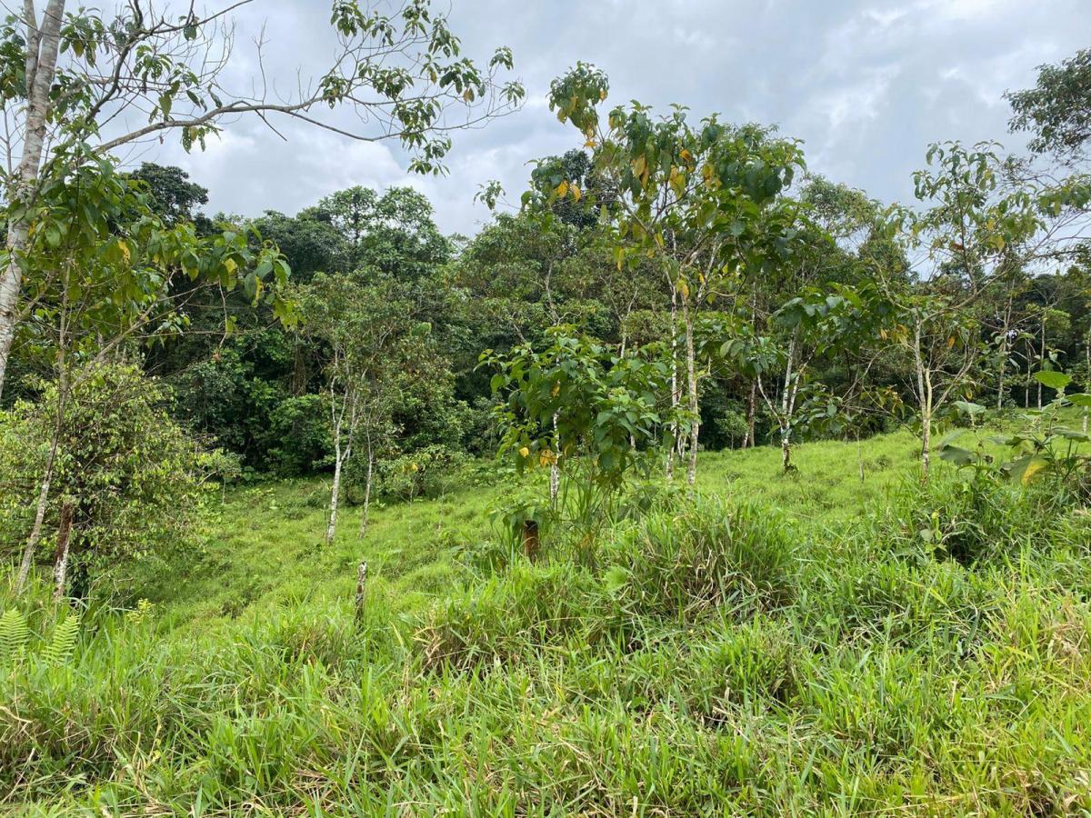 Terreno en Venta — imagen 9