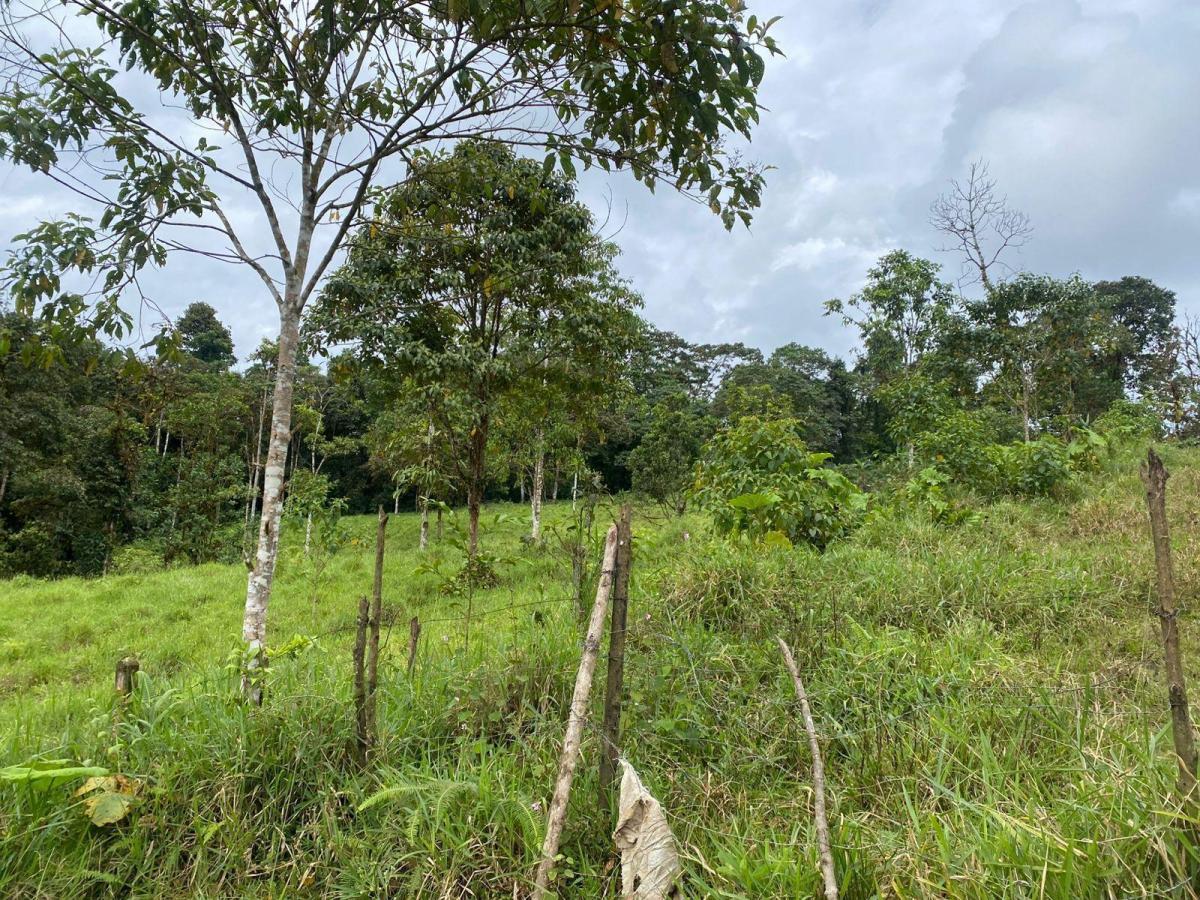 Terreno en Venta — imagen 8
