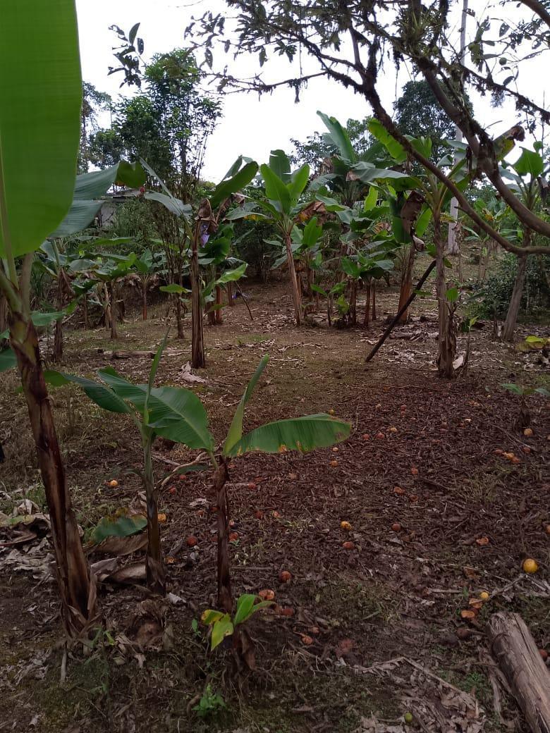 Terreno en Venta — imagen 5