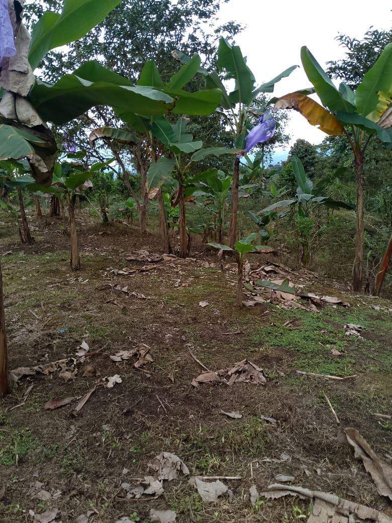 Terreno en Venta — imagen 4