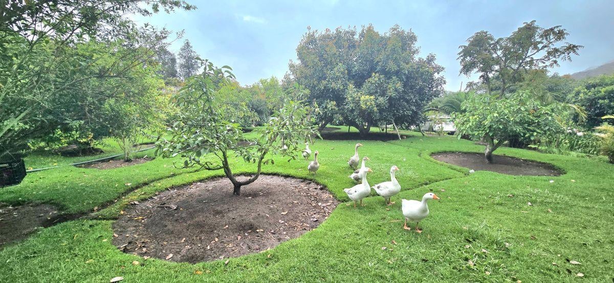 Se Vende Terreno en Guayllabamba — imagen 4