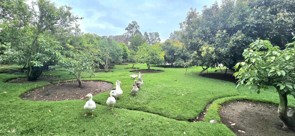 Se Vende Terreno en Guayllabamba — imagen 3