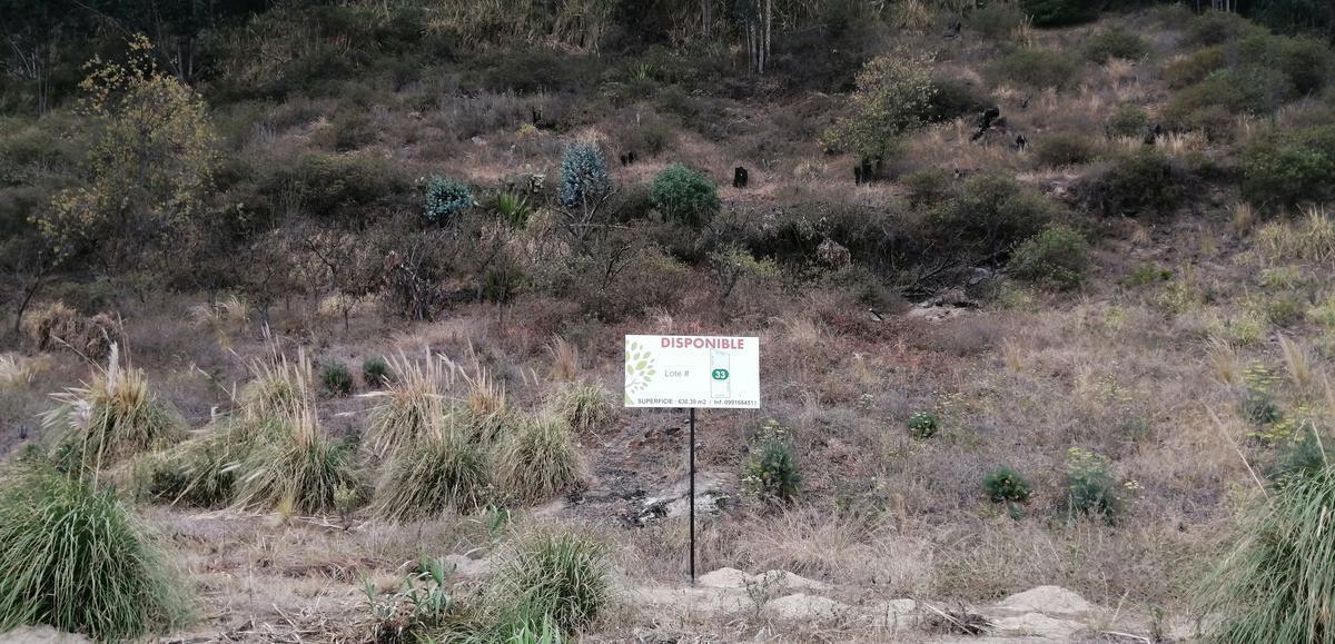Lotes en Venta en Ficoa! Urbanización Privada. Bajó de Precio!, Tungurahua — imagen 8