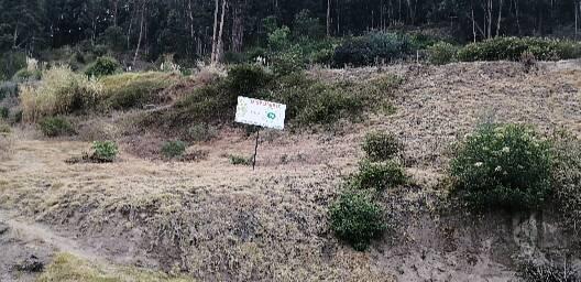 Lotes en Venta en Ficoa! Urbanización Privada. Bajó de Precio!, Tungurahua — imagen 4