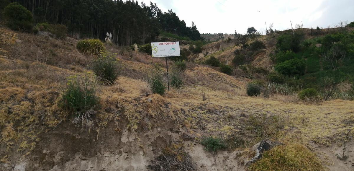 Terreno - Ambato, Tungurahua — imagen 8
