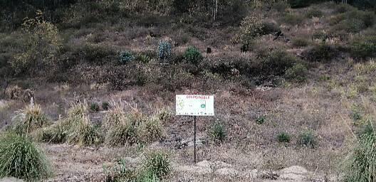 Terreno - Ambato, Tungurahua — imagen 3